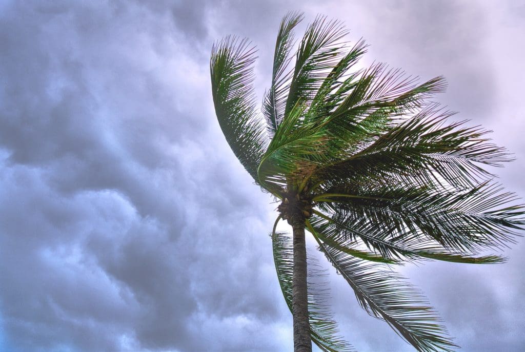 Hurricane Shutters West Palm Beach